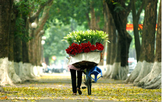 Dự báo thời tiết ngày mai 28/10: Hà Nội ngày nắng không mưa