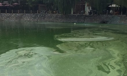 Tình trạng ô nhiễm tại hồ Văn Quán (Hà Đông) chưa được xử lý kịp thời do hồ chưa được HUD bàn giao cho cơ quan chức năng