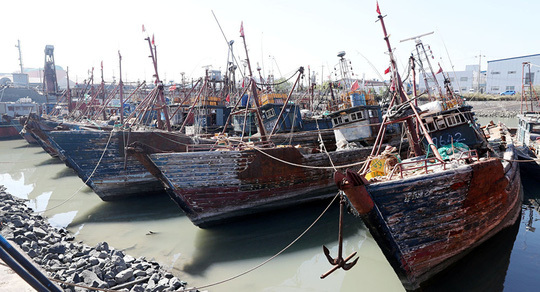 Tàu cái Trung Quốc đã nhiều lần đánh bắt cá trái phép trong vùng biển Hàn Quốc. Ảnh: Reuters