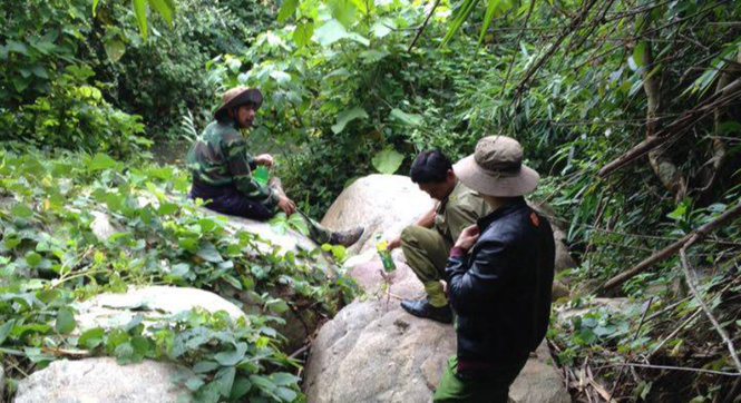 Lực lượng tìm kiếm nạn nhân bị mất tích bí ẩn trong rừng