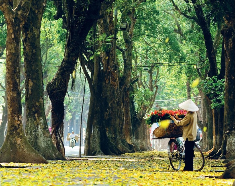 Dự báo thời tiết ngày mai, Hà Nội trời nắng không mưa