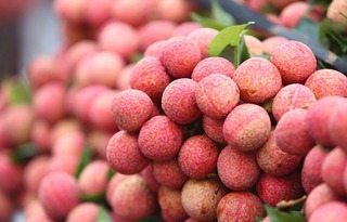 Bậc nhất Việt Nam: Bán trái cây mỗi năm thu 2.600 tỷ