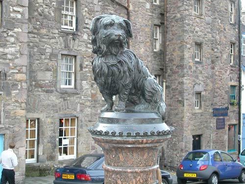 Tượng đài của Greyfriars Bobby, một trong những chú chó trung thành nhất thế giới