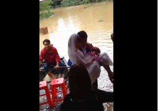 Clip lũ lụt chẳng là gì với cặp uyên ương ở Hà Tĩnh