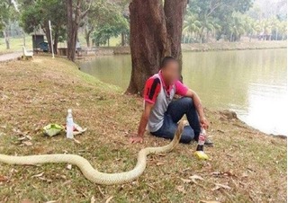 Người đàn ông kết hôn với rắn sau khi bạn gái qua đời