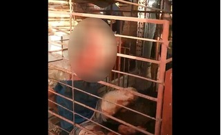 Tên trộm bê bết máu bị trói, nhốt vào chuồng chó ở Hưng Yên