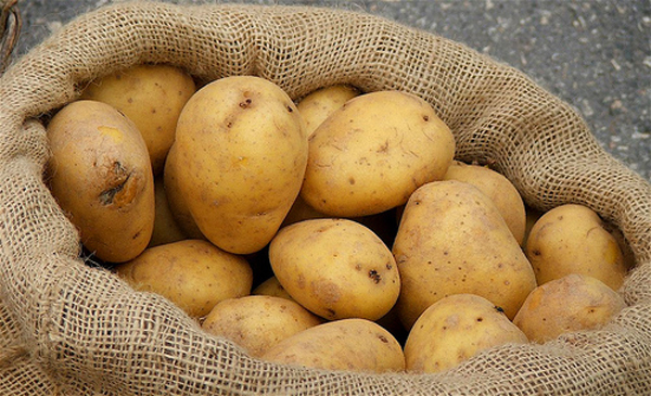 khoai tây mọc mầm ảnh hưởng sức khỏe của bạn