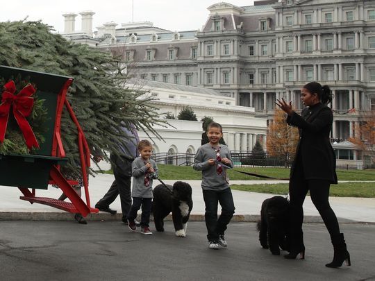 Bà Obama cùng 2 cháu trai đón cây thông ở sảnh bắc của Nhà Trắng. Ảnh: The White House