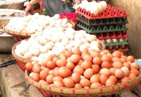 trứng gia cầm tăng giá từ 500-1000 đồng/quả