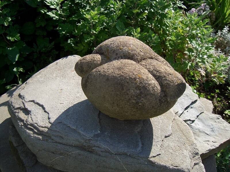 Mỗi hòn đá Trovanty có kích thước 6 - 8mm, nặng vài gram cuối cùng có thể phát triển tới chiều dài 6 - 10 mét, trọng lượng hơn 1 tấn.