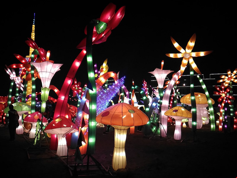 Lễ hội đèn lồng khổng lồ tại công viên Yên Sở, Hà Nội 11