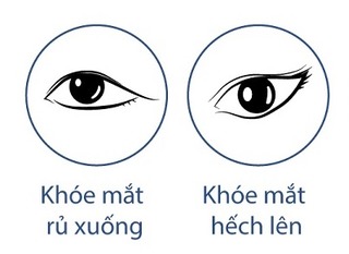 Trang điểm đôi mắt rủ xuống bằng cách nâng cao ngoài khóe mắt