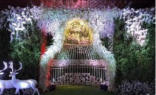 Không gian lễ cưới hoành tráng của Trấn Thành và Hari Won