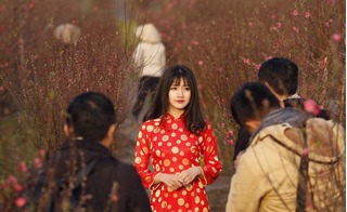 Hot girl Việt khoe sắc ở vườn đào lọt top ảnh ấn tượng hàng đầu thế giới năm 2016