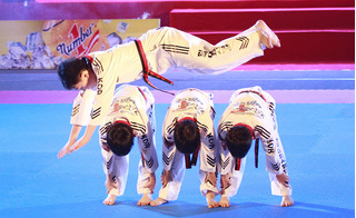 20 năm Taekwondo Việt Nam: Hành trình mang đậm khí phách Việt Nam