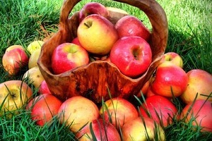 Ăn táo thường xuyên để có một làn da mềm mại