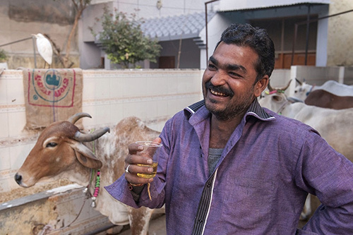 Người dân Ấn Độ hạnh phúc khi được uống nước tiểu bò. Ảnh: Qiwen