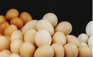Khi quả trứng “cõng” 14 loại phí, quả chanh “đội giá” 100 lần
