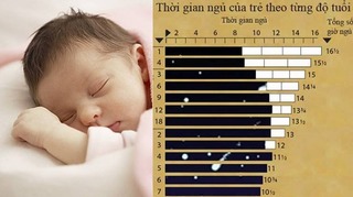 Trẻ ngủ đủ giấc mới khỏe và thông minh, vậy mẹ đã biết thời gian ngủ đúng chuẩn theo độ tuổi chưa?