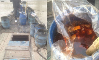 Ngư dân Thanh Hoá mật phục, 