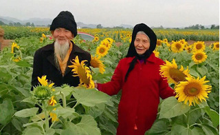 Dân mạng phát cuồng với ảnh cụ ông gần trăm tuổi dắt cụ bà chụp ảnh cánh đồng hoa