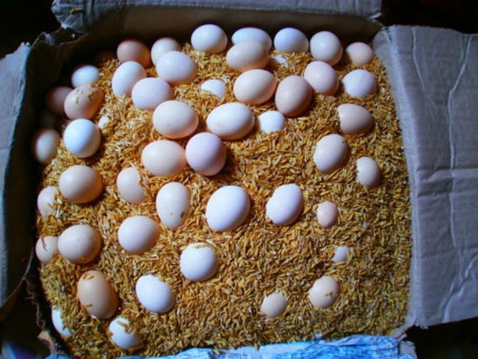 Mẹo bảo quản trứng
