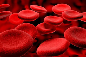 Độ dính của huyết cao là mỡ cao trong máu chăng?