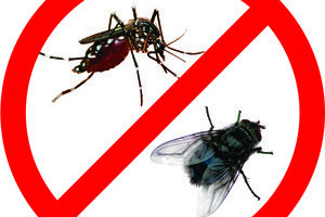 Một số cách giệt côn trùng trong gia đình của bạn