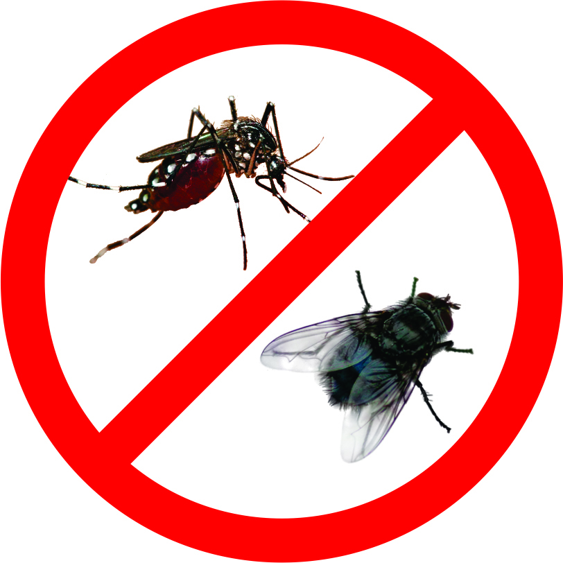 Cách diệt ruồi muỗi hiệu quả