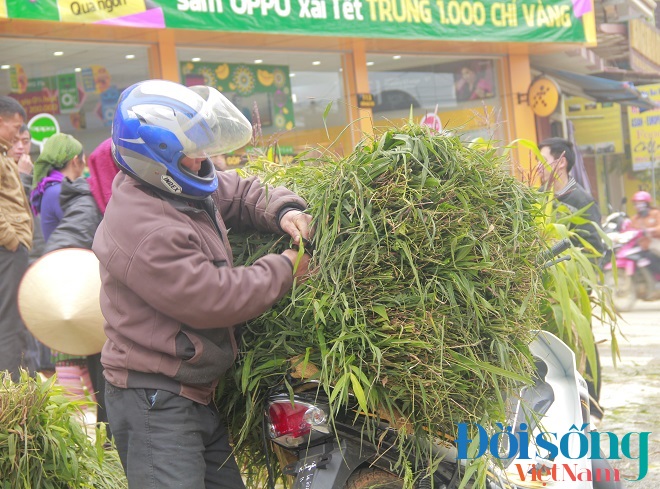 Nhộn nhịp chợ cỏ ngày giáp Tết 9