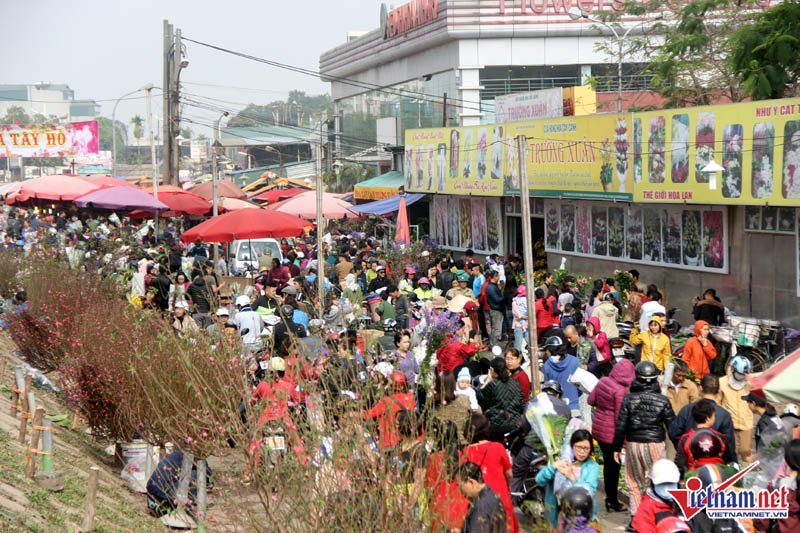 chợ hoa Quảng Bá
