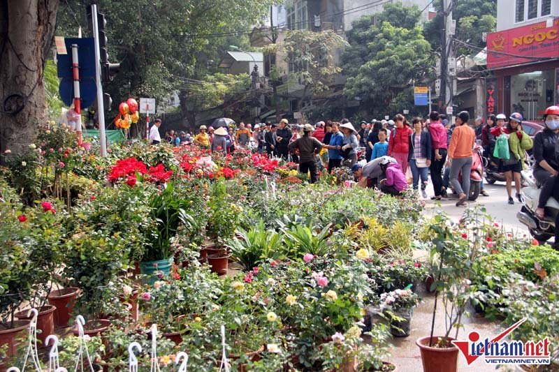 chợ hoa Hoàng Hoa Thám