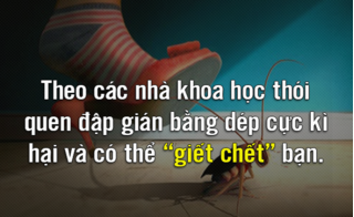 Ngừng ngay thói quen đập gián này nếu không muốn 
