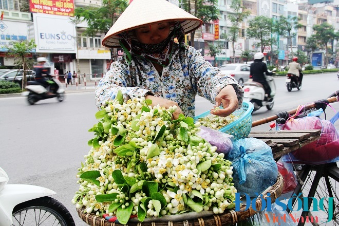 Hoa bưởi đầu mùa bán chậm 13