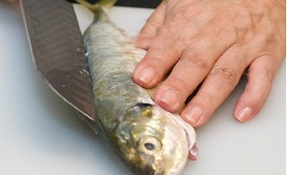 Chị em rần rần chia sẻ cách mổ cá không cần rạch bụng mà vẫn nhanh và sạch