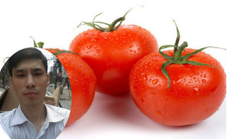 Lương y chia sẻ cách giảm 7kg trong 1 tháng nhờ cà chua 