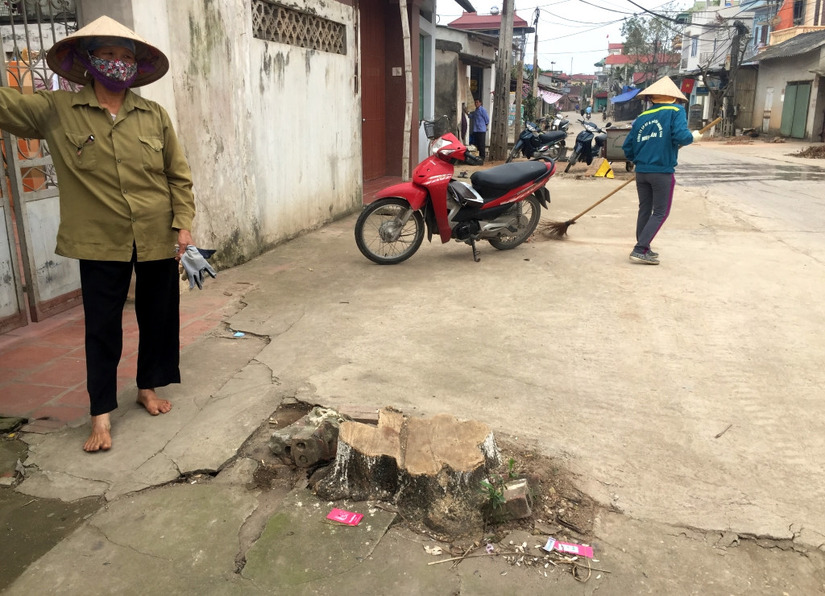 Chặt cây xanh vỉa hè Hà Nội 4