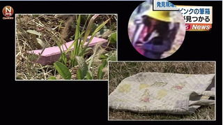 Lần ra gương mặt và giọng nói kẻ tình nghi vụ bé gái người Việt chết ở Nhật?