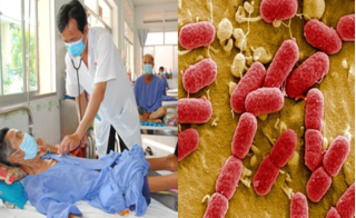Báo động: Xuất hiện siêu vi khuẩn kháng tất cả các loại kháng sinh tại Việt Nam
