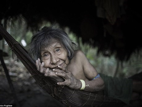 Số người còn sống xót xủa bộ tộc Awa ngày càng ít. Ảnh: Domenice Pugliese