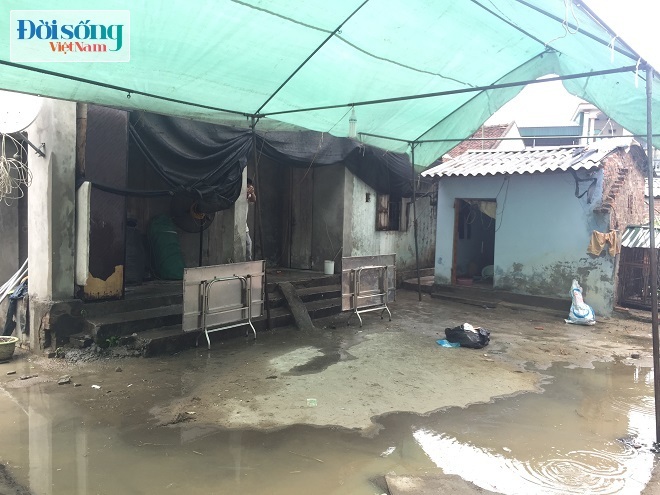 Ba anh em ruột tử vong 2