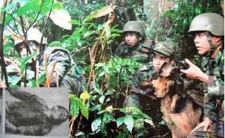 Băng cướp khét tiếng đất Cảng: Đền tội ác bằng hỏa lực B40