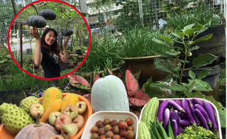 Vườn rau quả trù phú không kém nông trại Đà Lạt, đủ ăn quanh năm của bà mẹ Việt Kiều 2 con