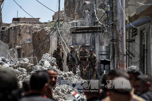 Lực lượng Iraq tiến vào Mosul ngày 25/6. Ảnh: AFP/TTXVN