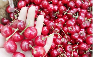 Cherry Trung Quốc được bày bán tràn lan trên thị trường với giá 120 ngàn/kg