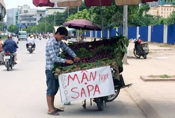 Mận Sapa