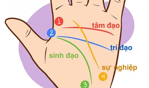 Có nhiều các gọi tên 4 đường chỉ tay cơ bản trên tay mỗi người. Ảnh minh họa