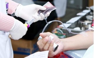 “Bão” sốt xuất huyết hoành hành, các bệnh viện kêu gọi hiến máu cứu người