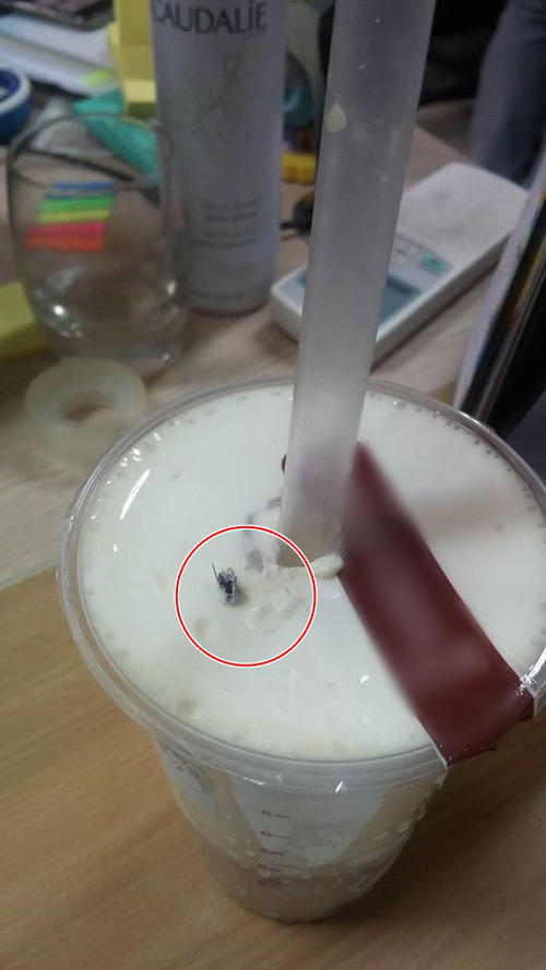 trà sữa Gong Cha có ruồi