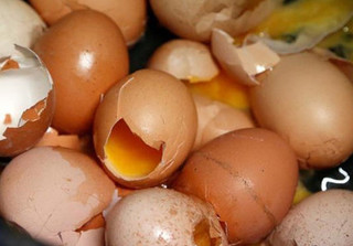 Kinh hoàng trứng gà nhiễm thuốc trừ sâu phá hủy gan, thận người dùng